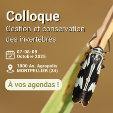 Affiche colloque invertébrés octobre 2025